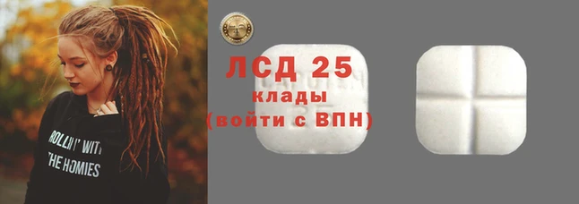 шишки Бердск