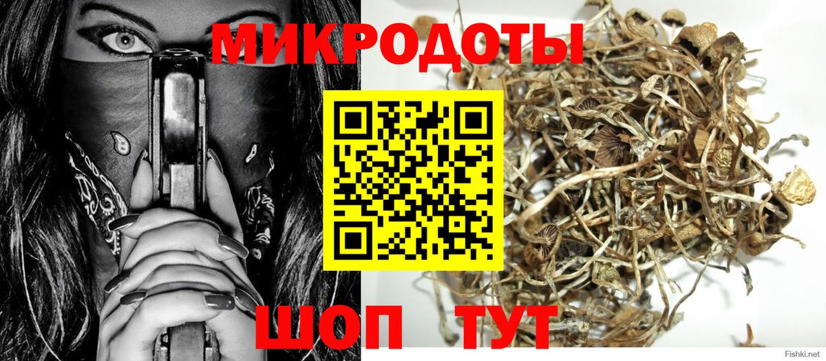 Псилоцибиновые грибы мицелий Первоуральск
